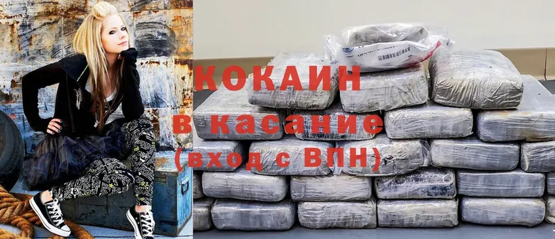 дарнет шоп  ссылка на мегу зеркало  Cocaine Боливия  Заозёрск 