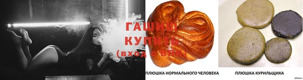 ешки Надым