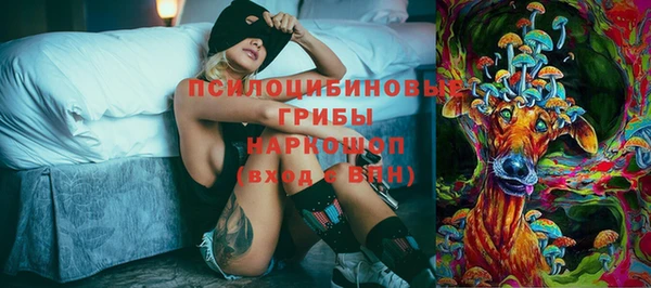 ешки Надым