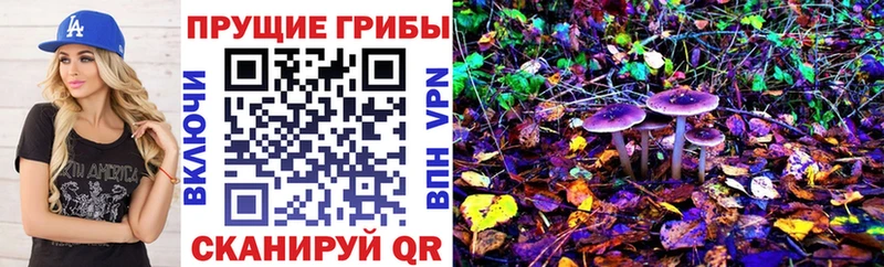 Псилоцибиновые грибы прущие грибы  наркошоп  Заозёрск 